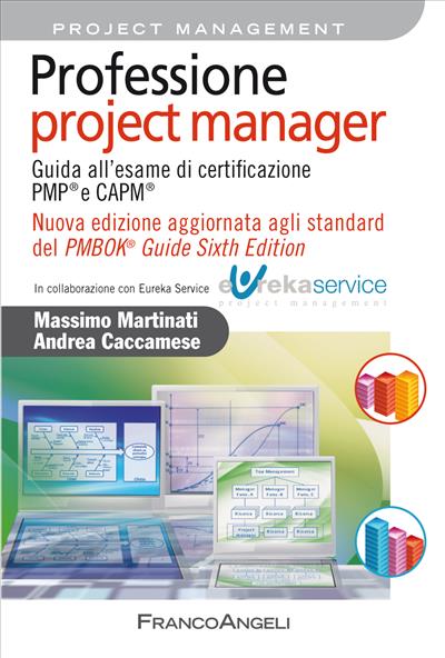 Professione project manager.
