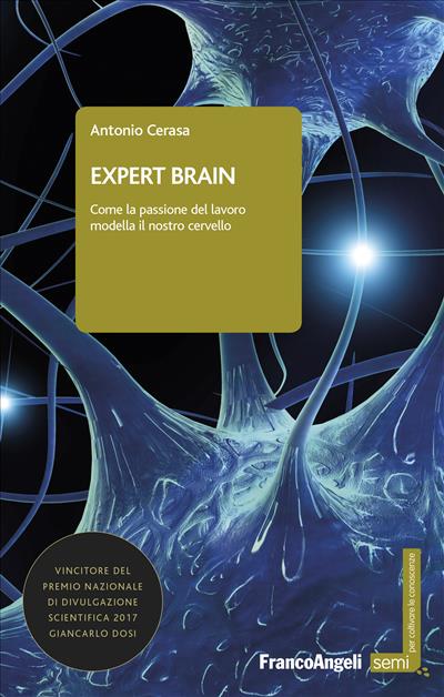 Expert brain